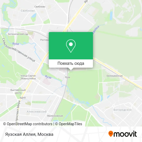 Карта Яузская Аллея