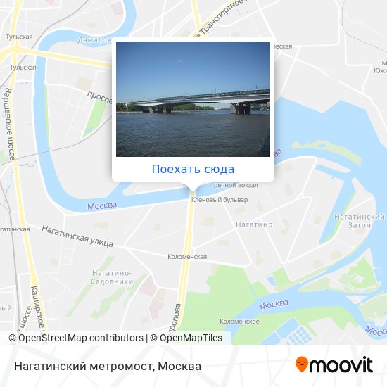 Нагатинский затон на карте москвы. Метромост Нагатинский Затон. Метро Нагатинский Затон на карте. Нагатинский Затон метро мозаика. Нагатинский Затон станция метро рыбы.