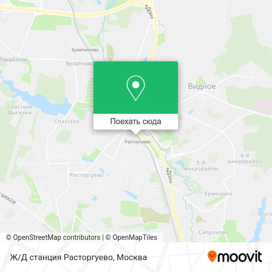 Карта Ж/Д станция Расторгуево