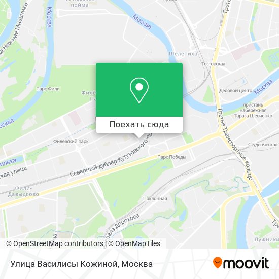 Карта Улица Василисы Кожиной