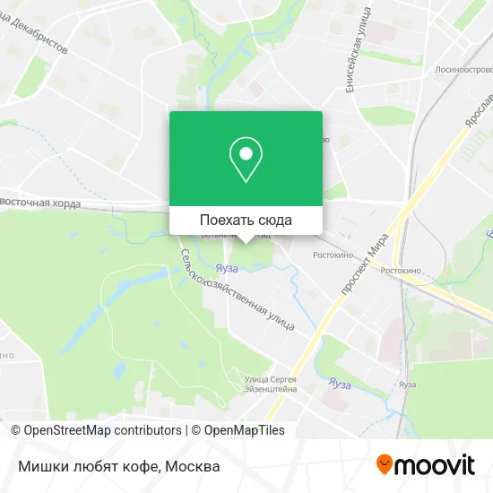 Карта Мишки любят кофе