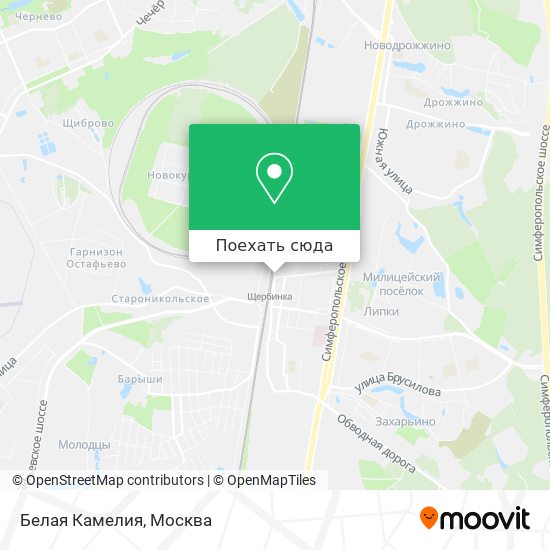 Карта Белая Камелия