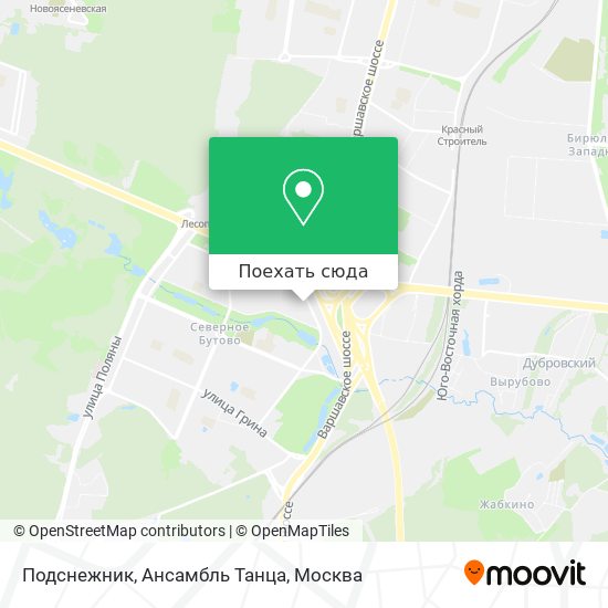 Карта Подснежник, Ансамбль Танца