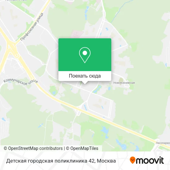 Карта Детская городская поликлиника 42