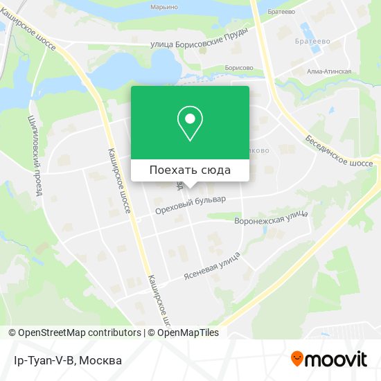 Карта Ip-Tyan-V-B