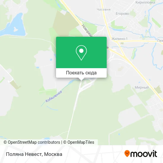Карта Поляна Невест
