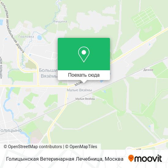 Карта Голицынская Ветеринарная Лечебница