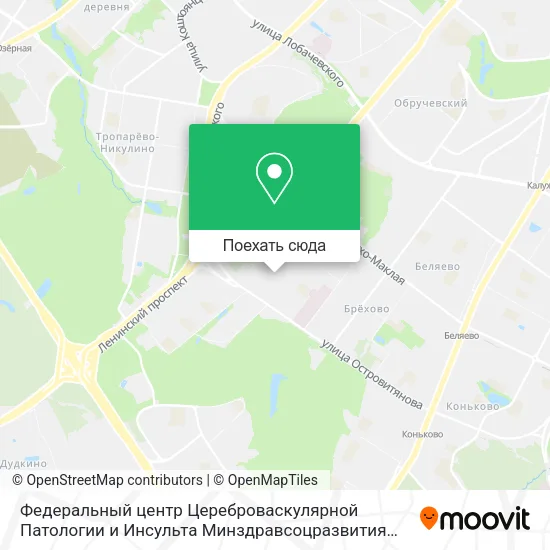 Карта Федеральный центр Цереброваскулярной Патологии и Инсульта Минздравсоцразвития России