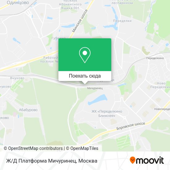 Карта Ж/Д Платформа Мичуринец