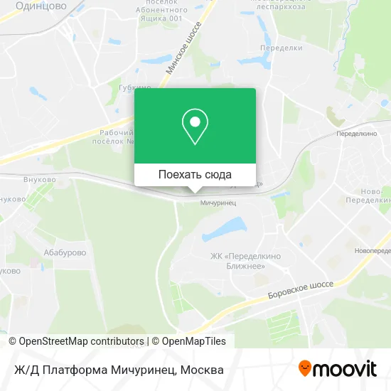 Карта Ж/Д Платформа Мичуринец