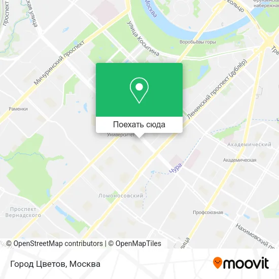Карта Город Цветов