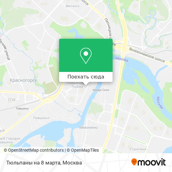 Карта Тюльпаны на 8 марта