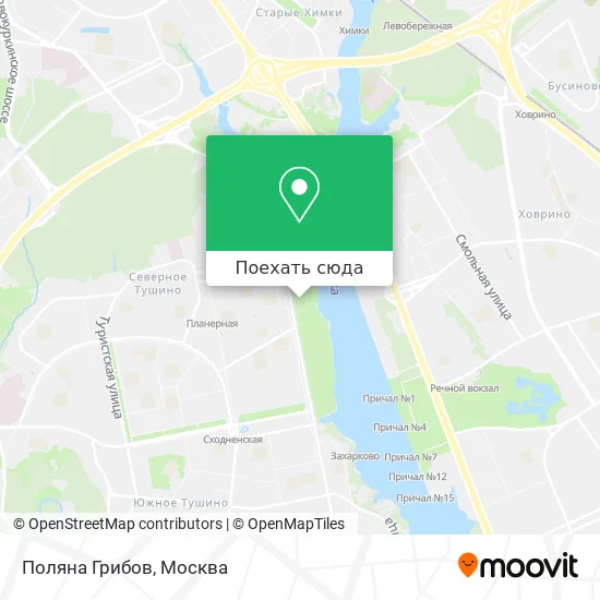 Карта Поляна Грибов