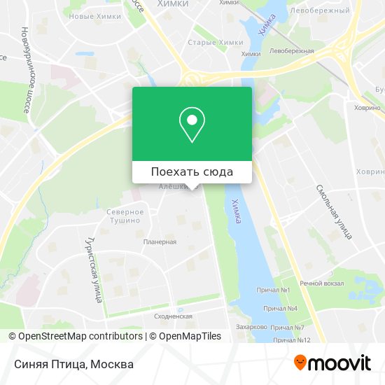 Карта Синяя Птица