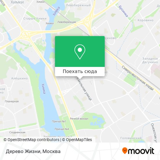 Карта Дерево Жизни
