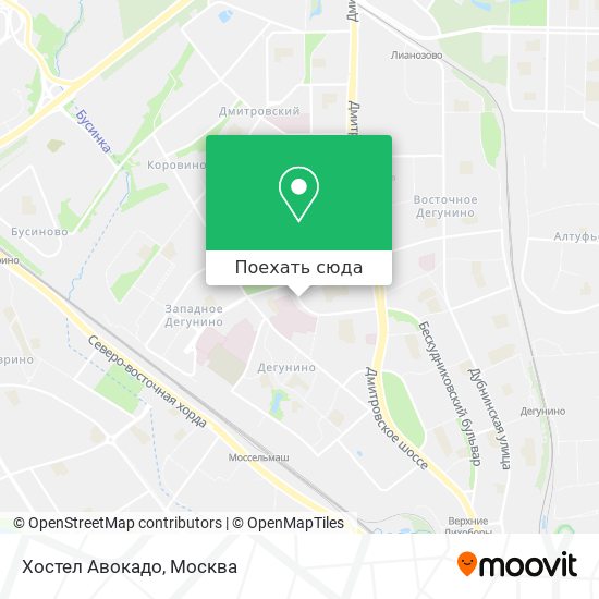 Карта Хостел Авокадо