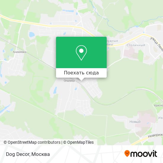 Карта Dog Decor