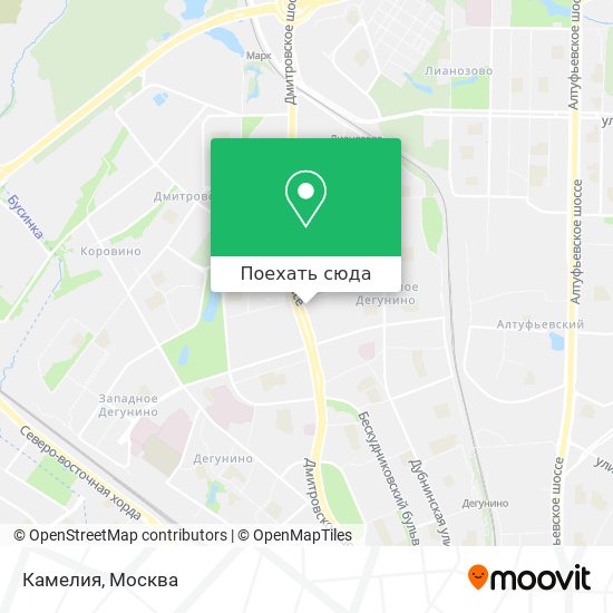 Карта Камелия
