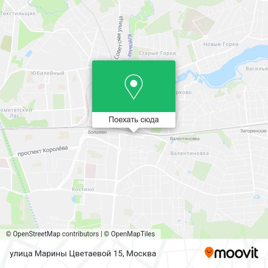 Карта улица Марины Цветаевой 15