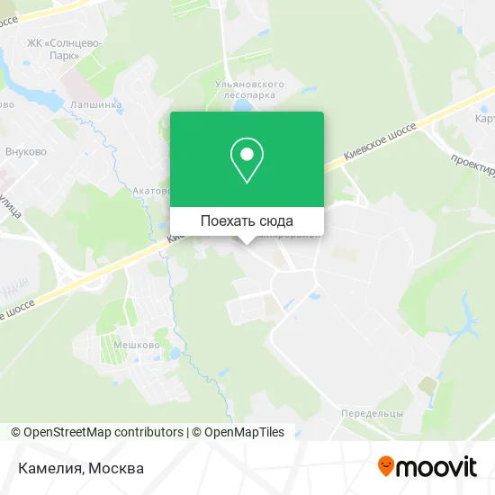 Карта Камелия