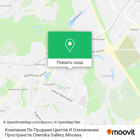 Карта Компания По Продаже Цветов И Озеленению Пространств Chernika Gallery