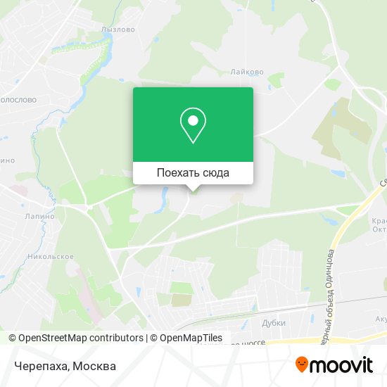 Карта Черепаха