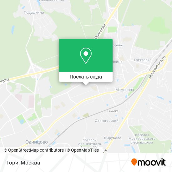 Карта Тори
