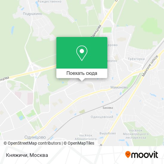 Карта Княжичи