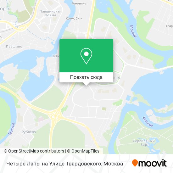 Карта Четыре Лапы на Улице Твардовского