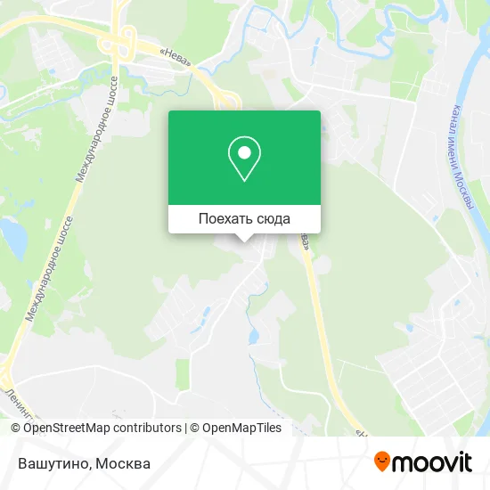 Карта Вашутино