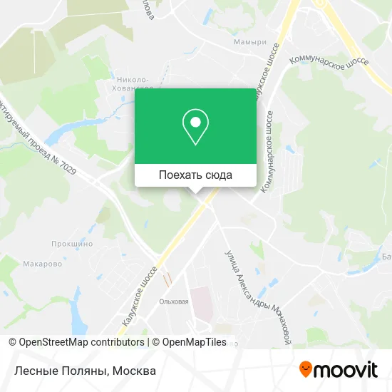 Карта Лесные Поляны