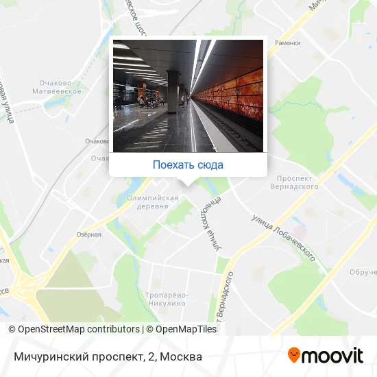Карта Мичуринский проспект, 2