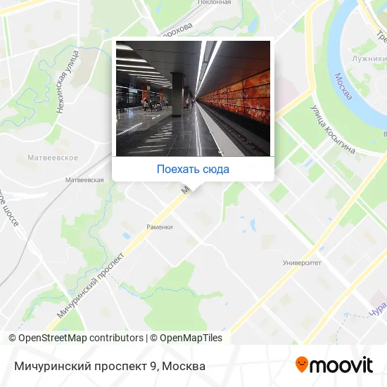 Карта Мичуринский проспект 9
