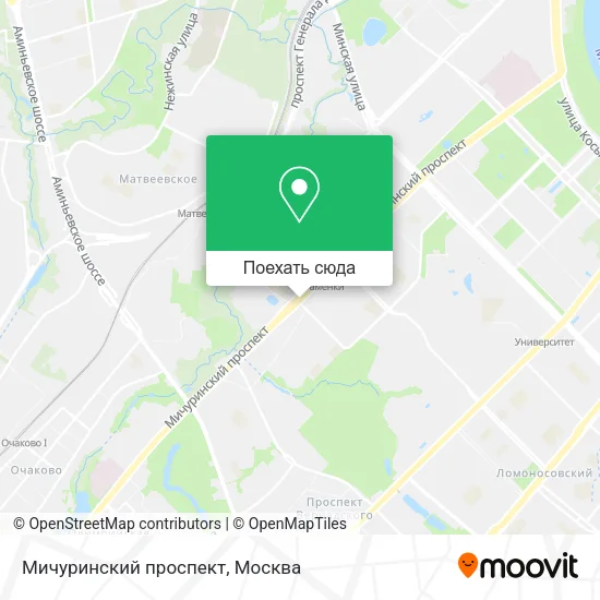 Карта Мичуринский проспект