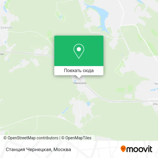 Карта Станция Чернецкая