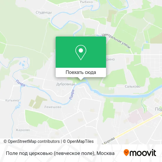 Карта Поле под церковью (певческое поле)