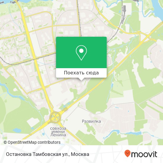 Карта Остановка Тамбовская ул.