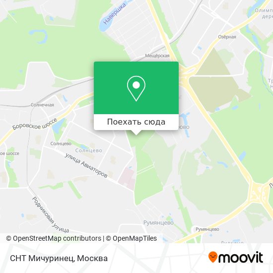 Карта СНТ Мичуринец