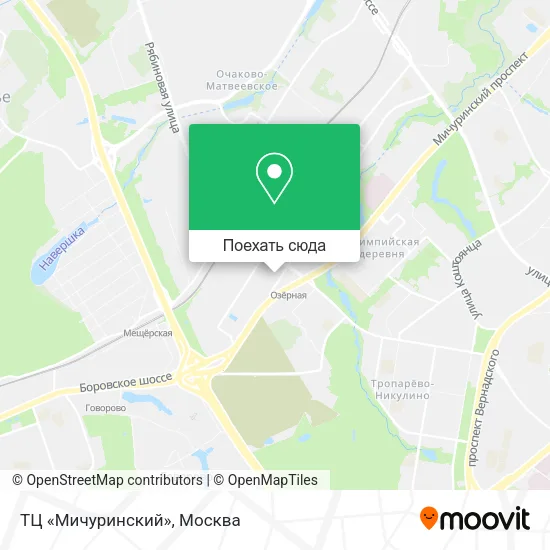 Карта ТЦ «Мичуринский»