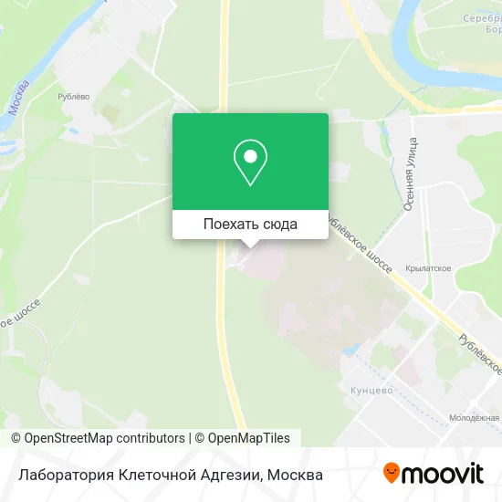 Карта Лаборатория Клеточной Адгезии