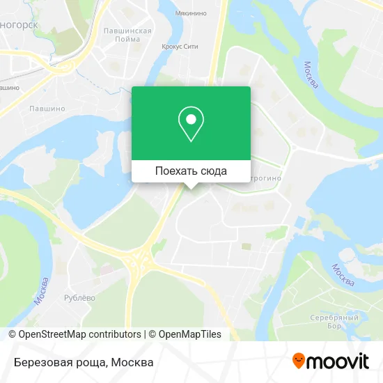 Карта Березовая роща