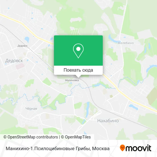 Карта Манихино-1.Псилоцибиновые Грибы