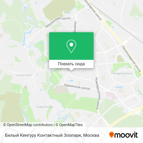 Карта Белый Кенгуру Контактный Зоопарк