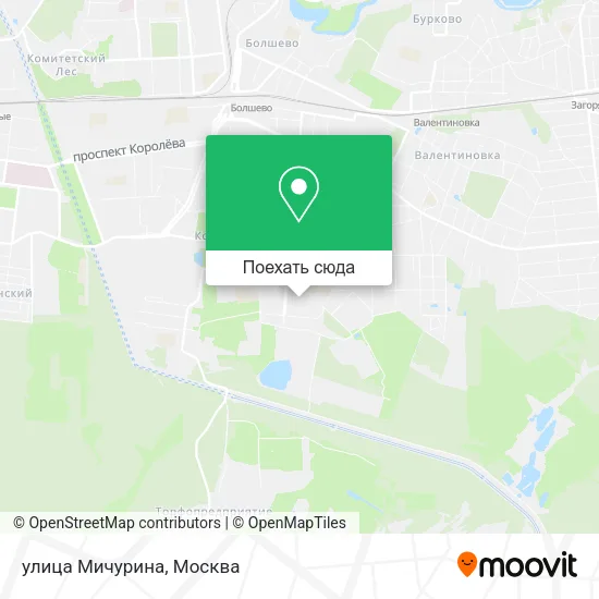 Карта улица Мичурина