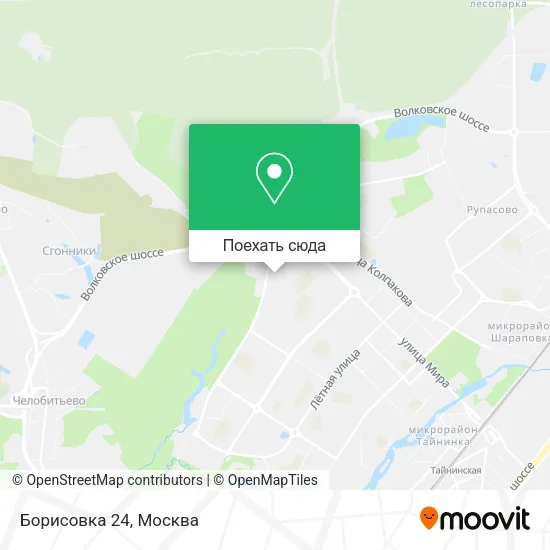 Карта Борисовка 24