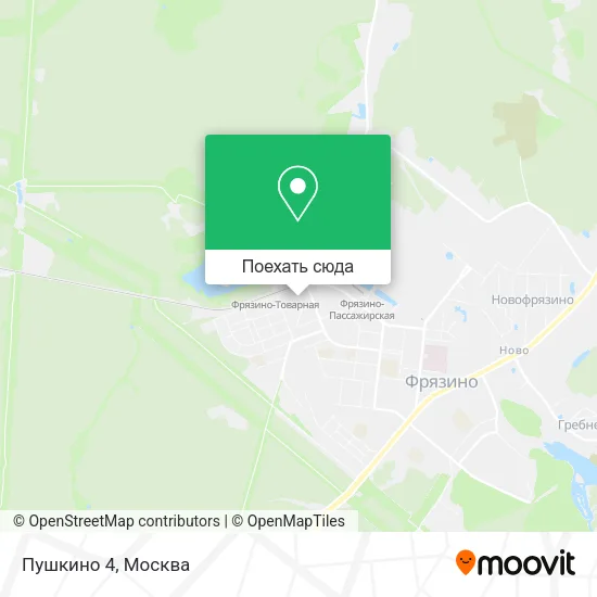 Карта Пушкино 4
