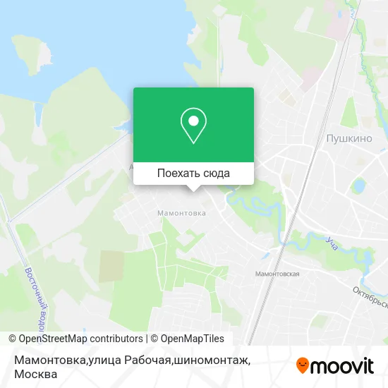 Карта Мамонтовка,улица Рабочая,шиномонтаж