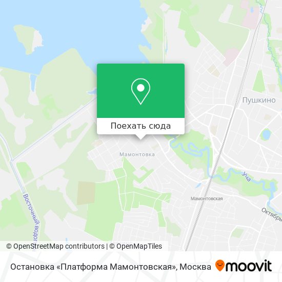 Карта Остановка «Платформа Мамонтовская»