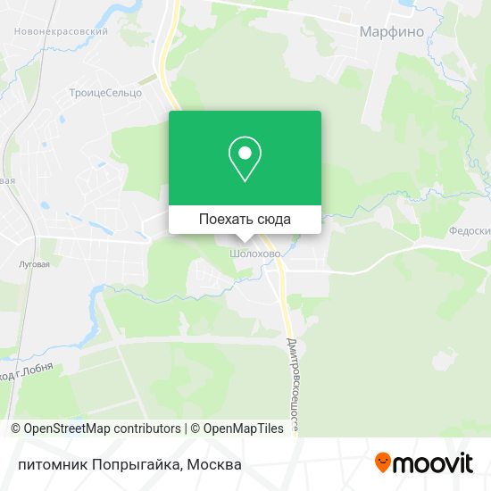 Карта питомник Попрыгайка