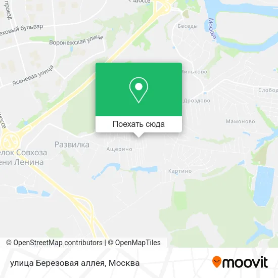 Карта улица Березовая аллея